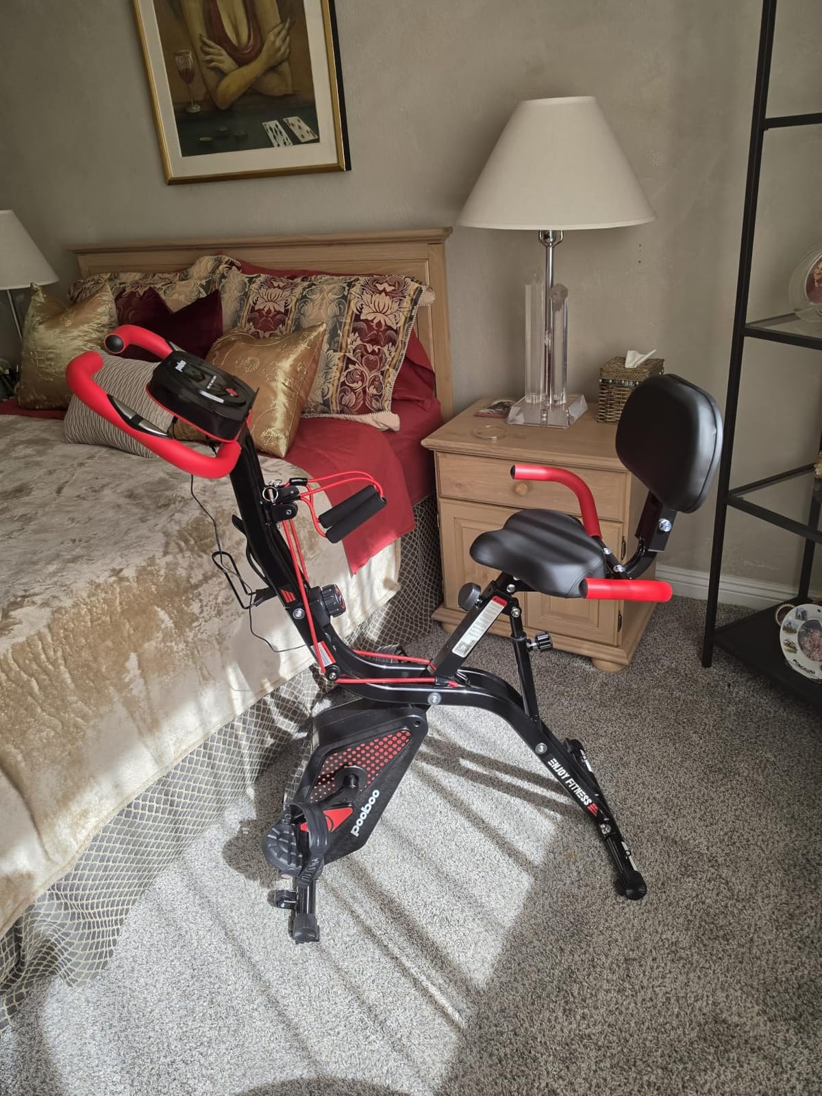 pooboo Folding Magnetic X‑Bike, Upright Exercise Bike for Home Gym customer photo 2
