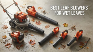 best leaf blowers for wet leaves