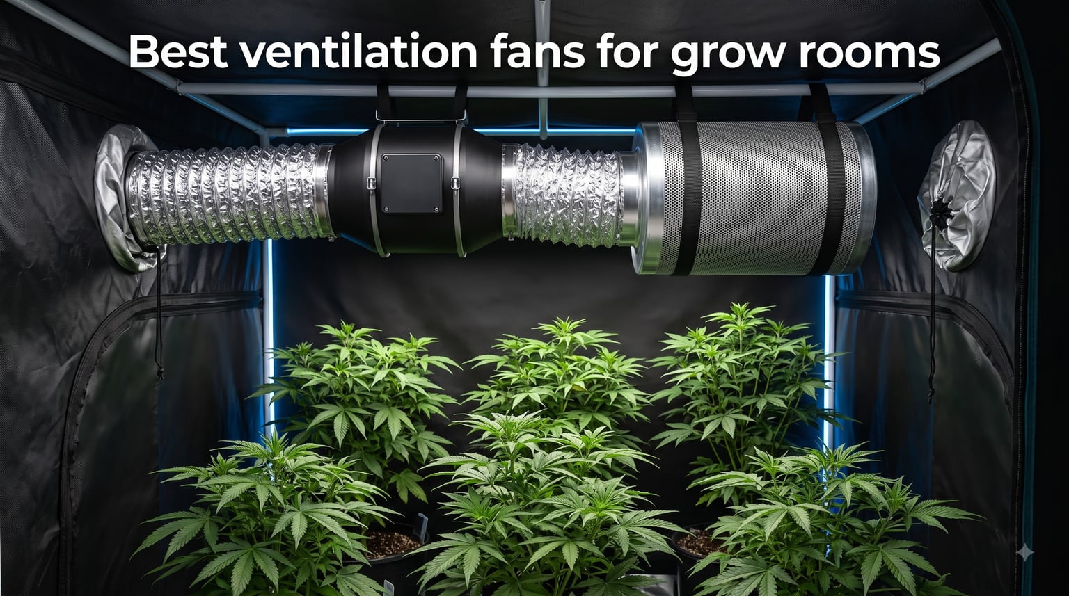 Best ventilation fans for grow rooms