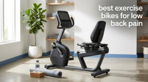 best exercise bikes for low back pain