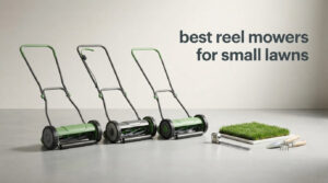 best reel mowers for small lawns