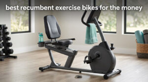 best recumbent exercise bikes for the money