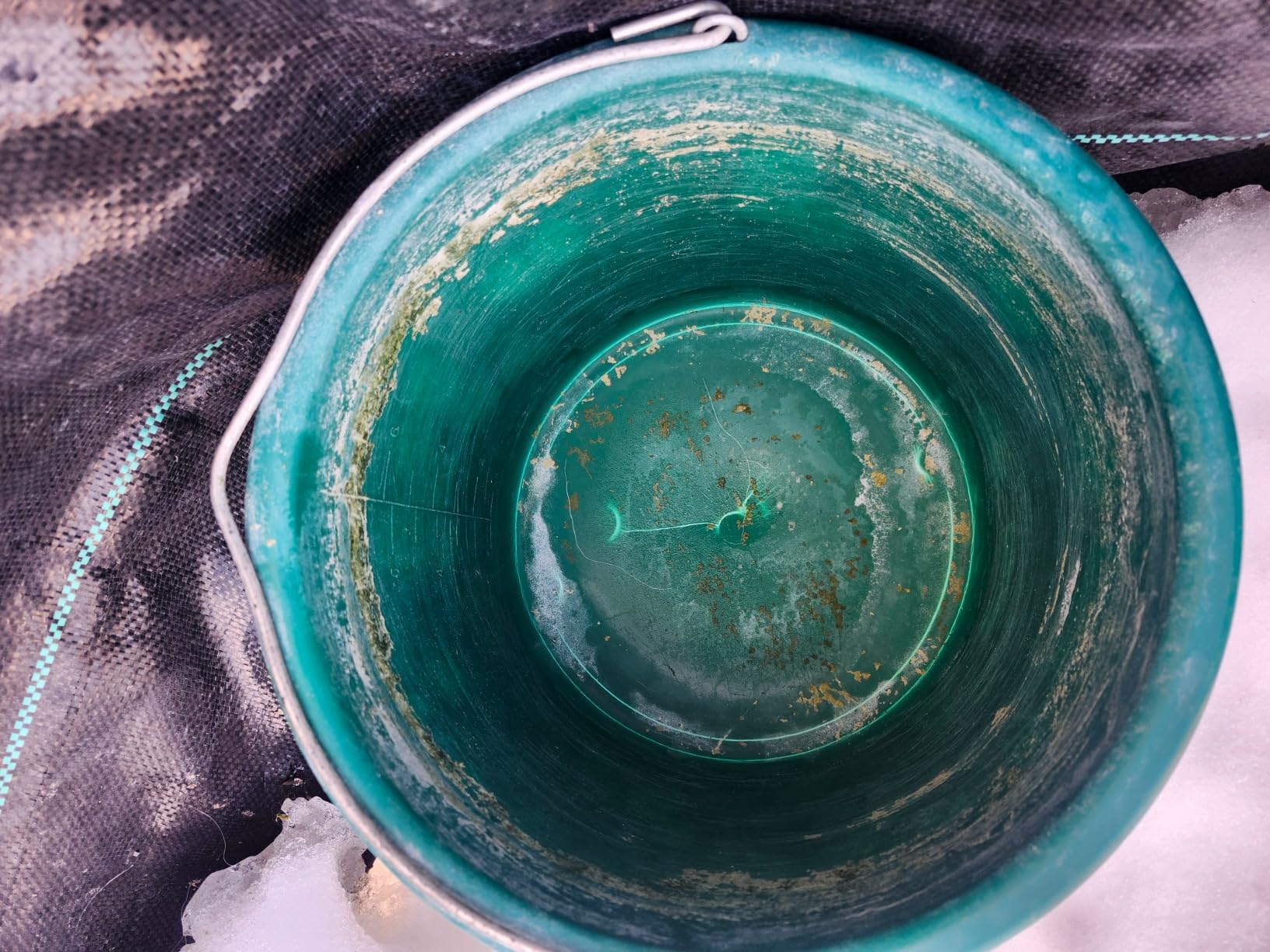 Farm Innovators HB-60 Heated Plastic Bucket, 60 Watts, 2 Gallon, Green customer photo 1