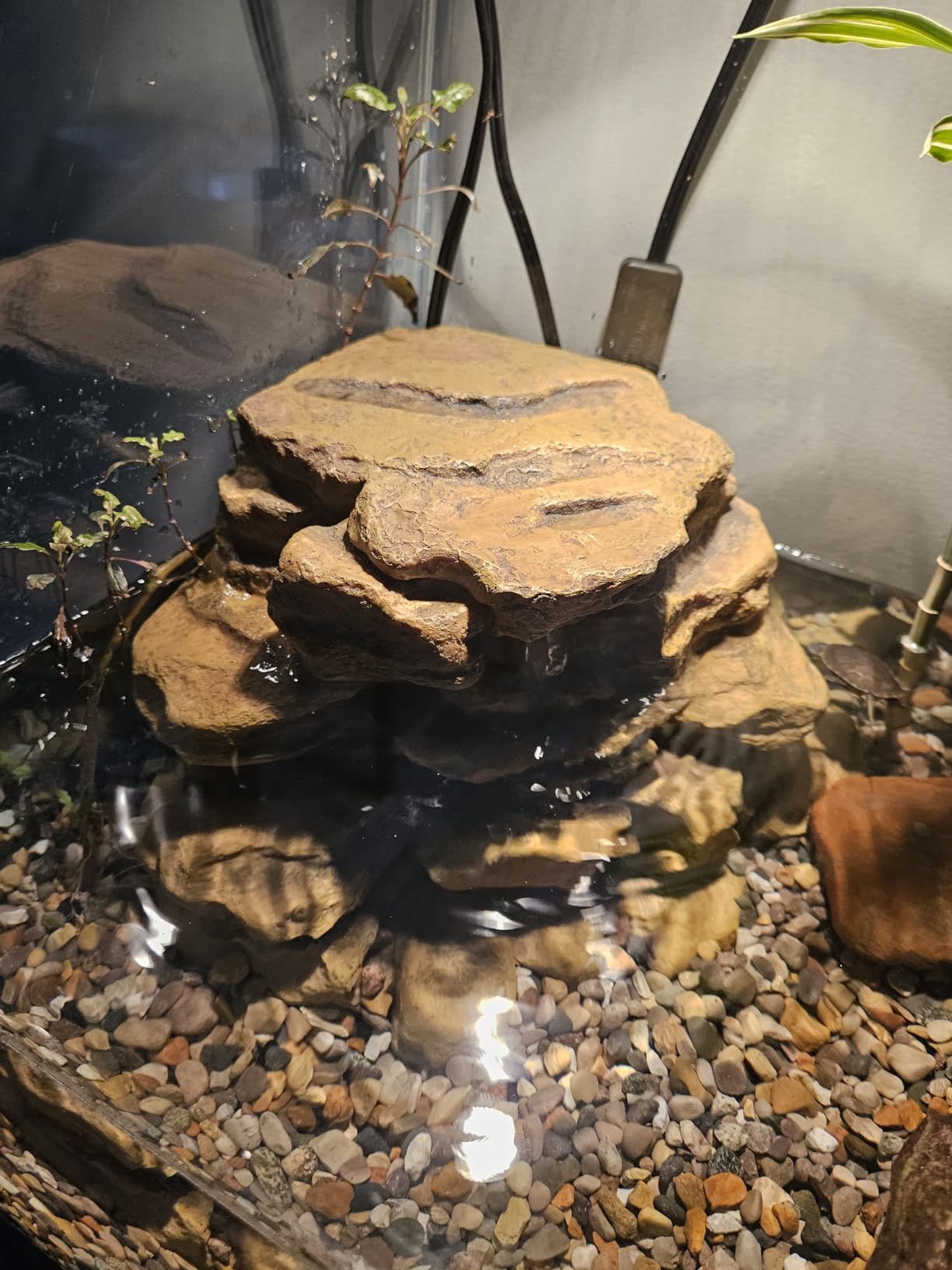 Tetra Decorative ReptoFilter Terrarium Filter For Frogs, Newts & Turtles customer photo 1