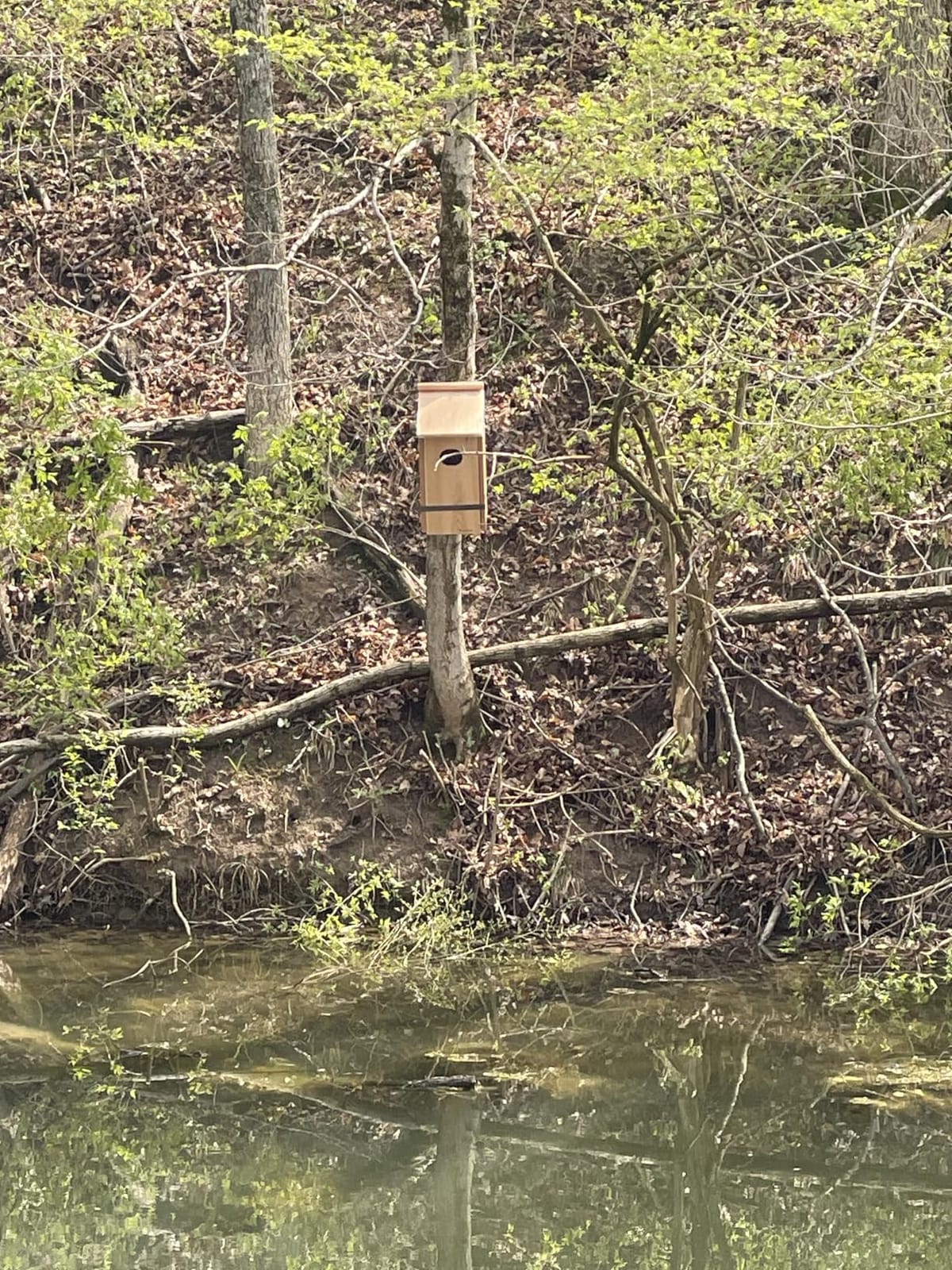 Woodlink WD1 Cedar Duck House, 1 customer photo 1