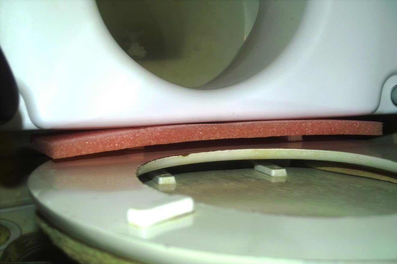 Drive Medical 2-in-1 Raised Toilet Seat with Removable Padded Arms customer photo 2