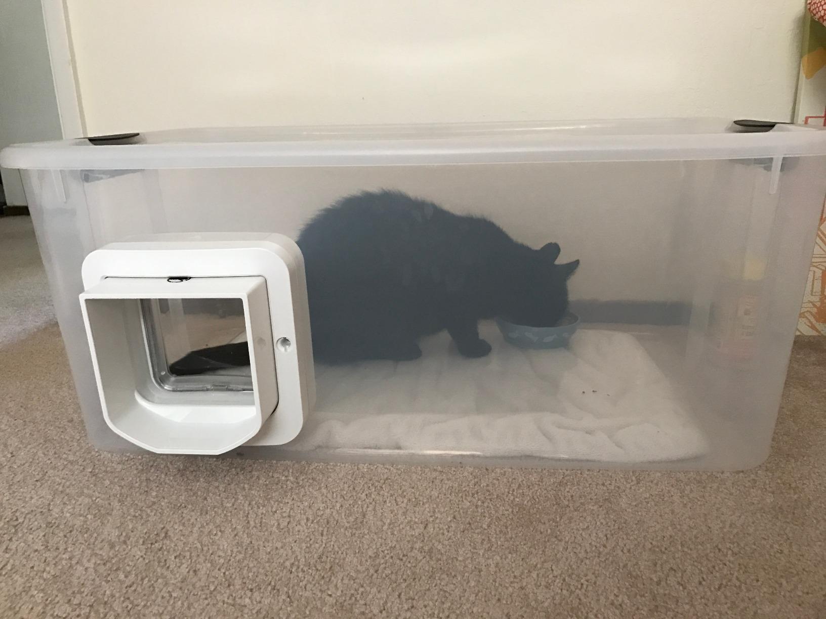 SureFlap - Sure Petcare Microchip Cat Flap, White, Scans Pet's ID on Entry, Check Your Cat's Size,Flap Opening is 4 3/4” (H) by 5 5/8” (W) customer photo 1