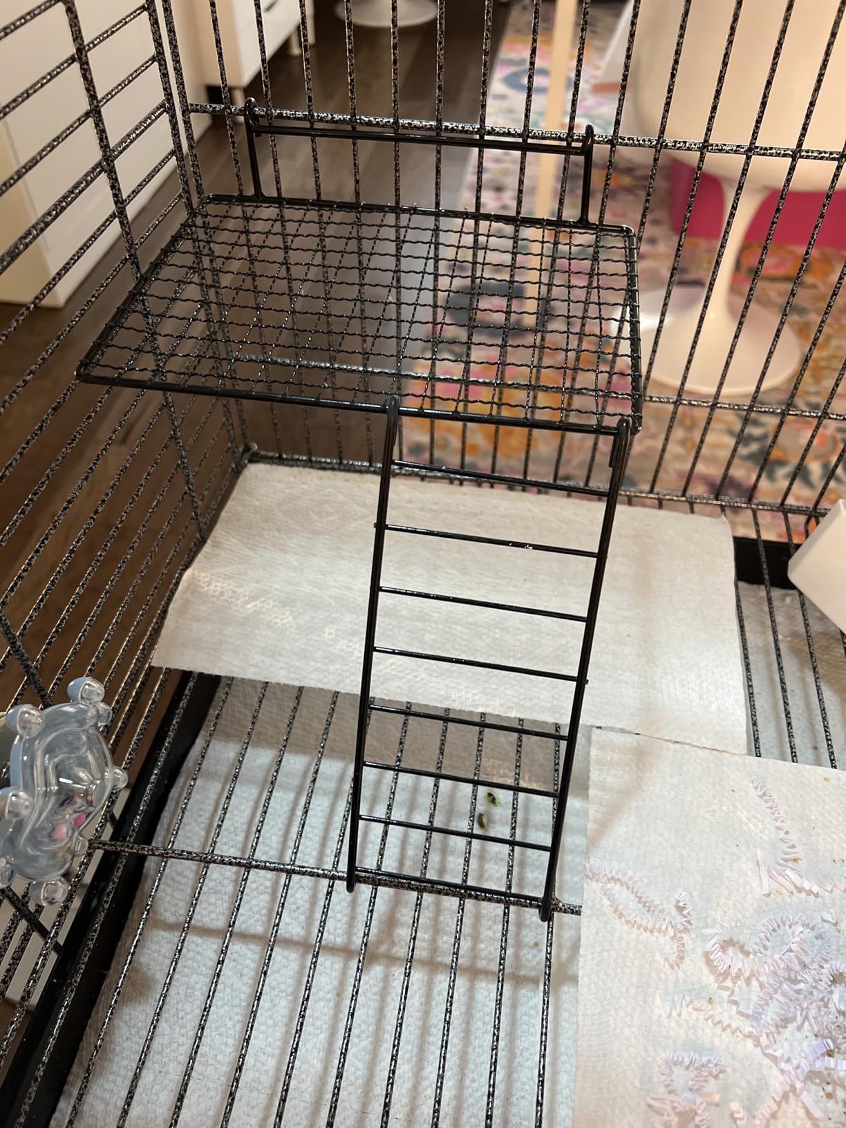 65-Inch Open and Close Dome Plays Top Parrot Lovebird Cockatiel Cockatiels Parakeets Cage Tight 5/8-Inch Bar Spacing with Removable Rolling Stand customer photo 2