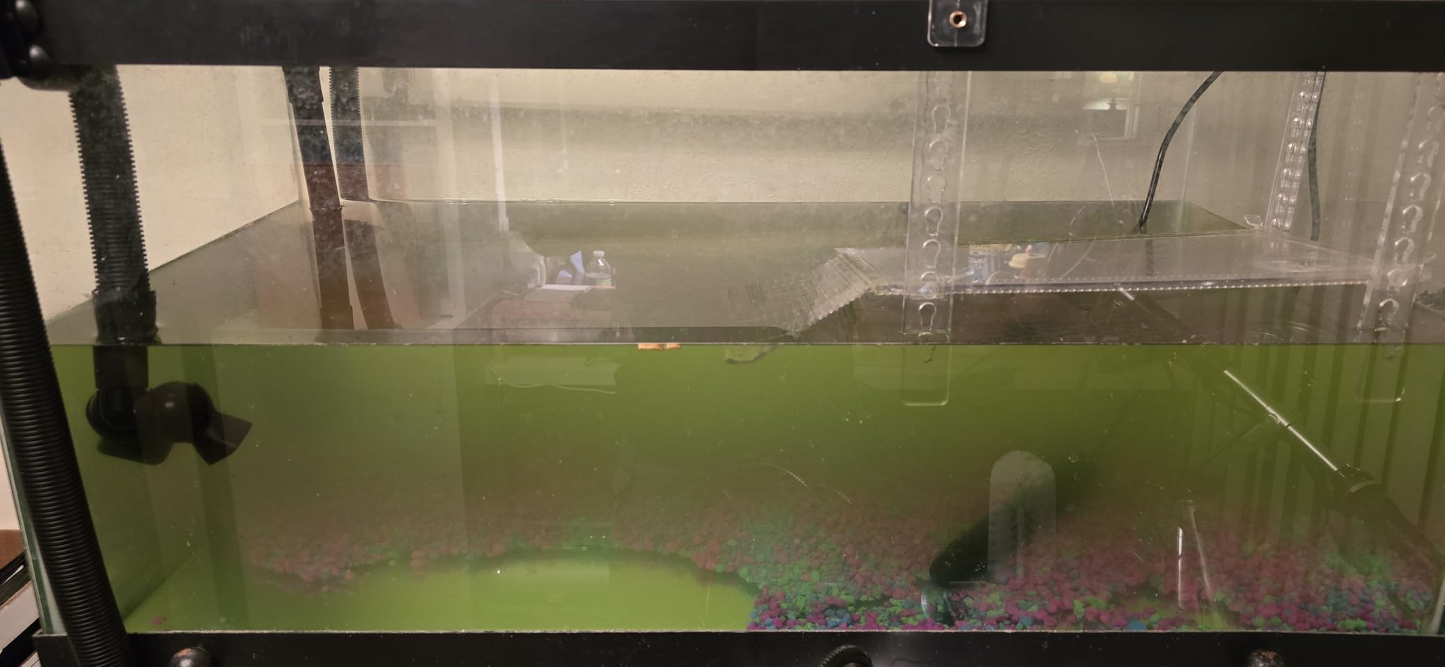 Fluval FX6 High Performance Aquarium Filter, up to 400 Gal. customer photo 1