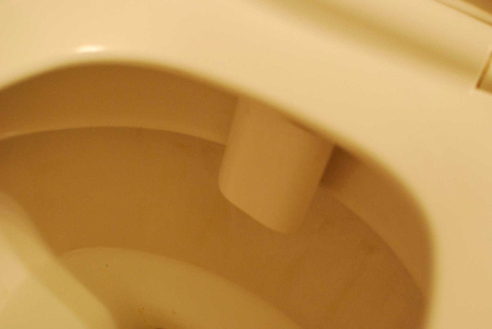 LUXE Bidet NEO 120 - Bidet Attachment for Toilet Seat, White customer photo 1