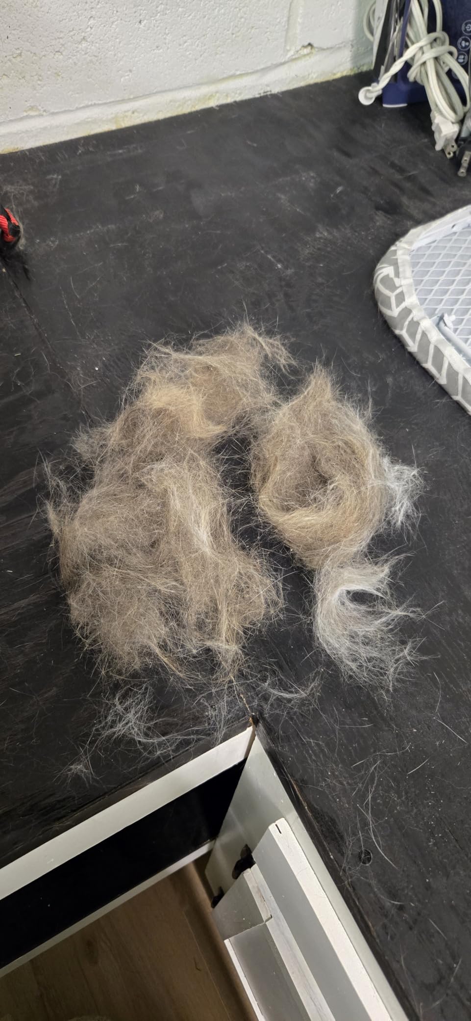 SleekEZ Cat Brush for Shedding - Deshedding Brush for Cats - Patented Grooming Tool for Removing Loose Fur, Undercoat & Hair - Made in USA - Works on Short, Medium & Long Coats customer photo 2