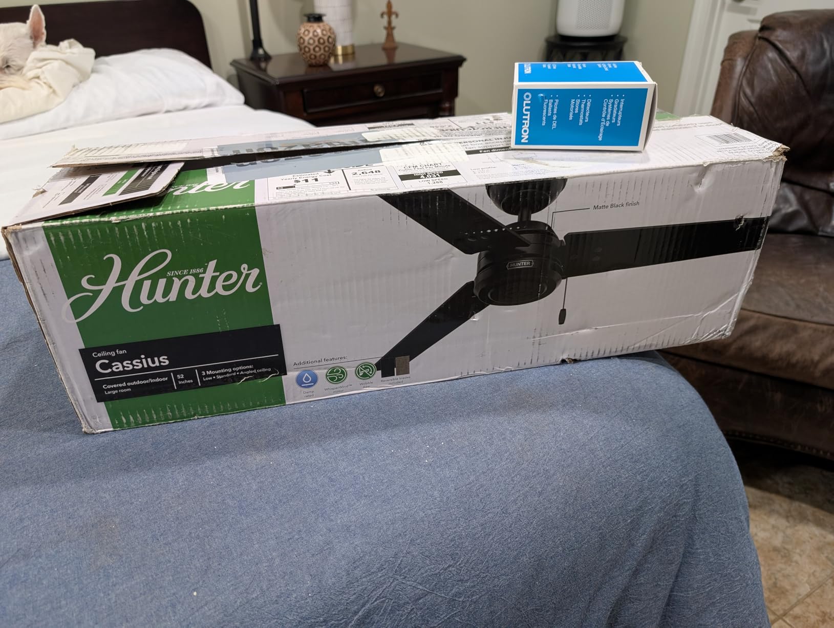 Hunter Cassius, Outdoor or Indoor, Ceiling Fan, 52 inch, Matte Black customer photo 2
