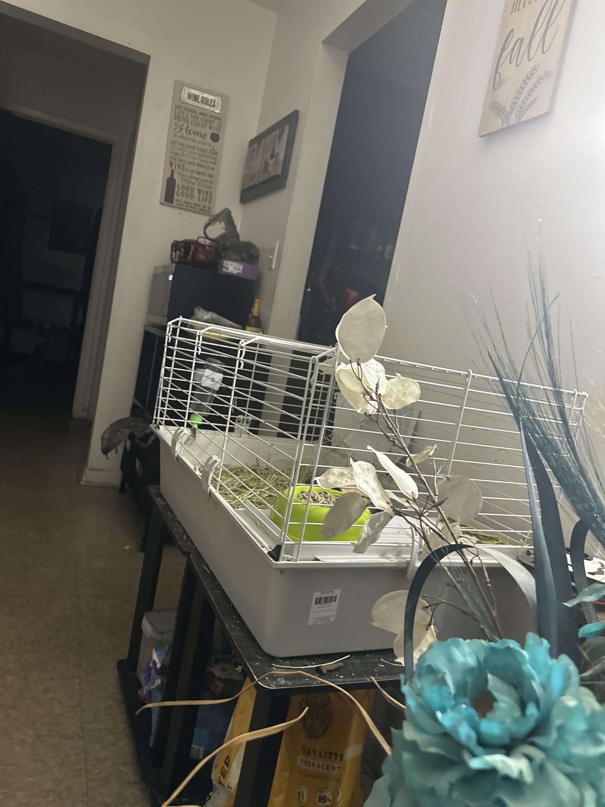 Ferplast Cavie Guinea Pig Cage & Rabbit Cage | Pet Cage Includes All Accessories to Get You Started & a 1-Year Warranty customer photo 1