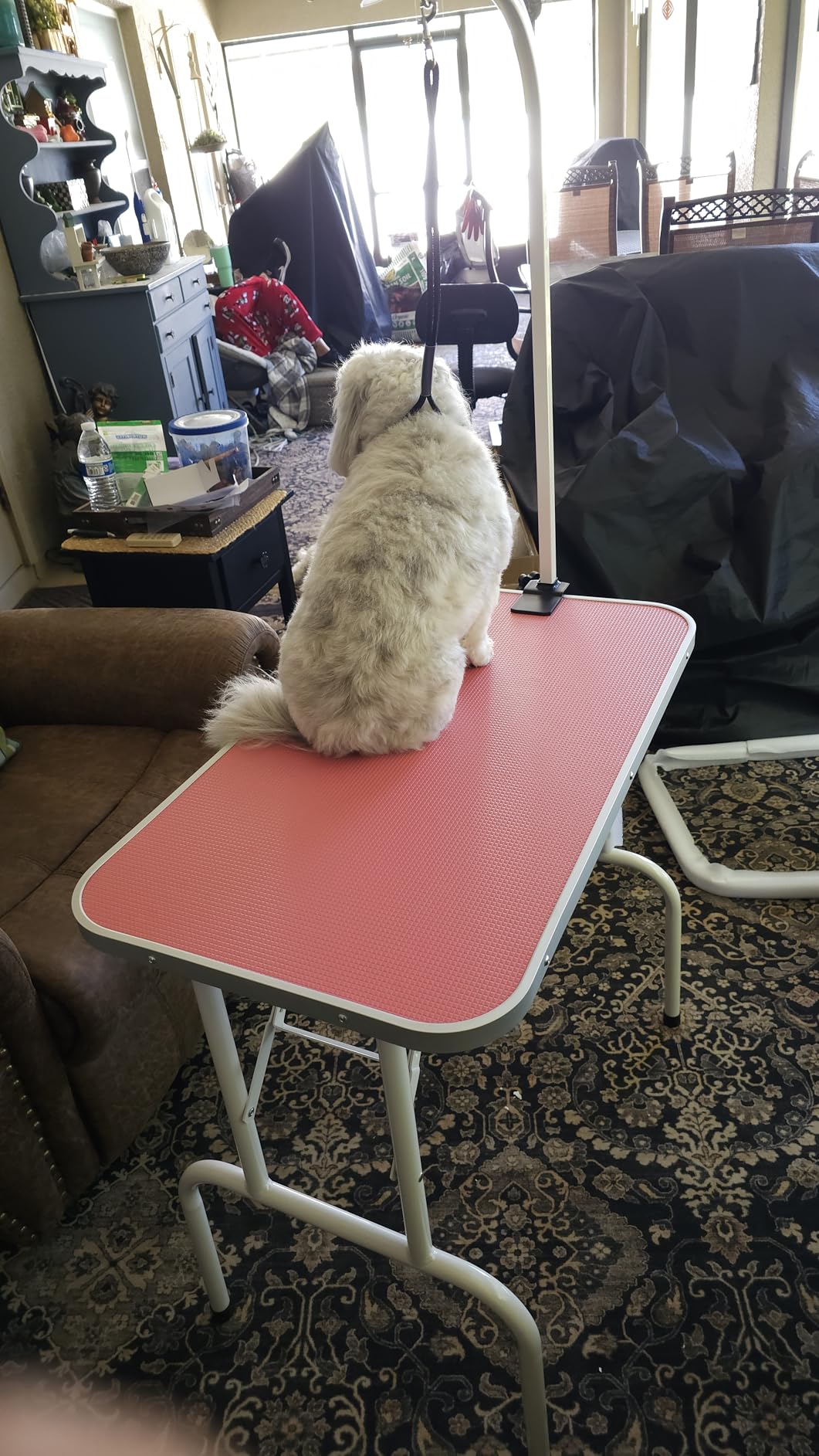 Yaheetech 32 Inch Sturdy Dog Grooming Table for Home, Black customer photo 2