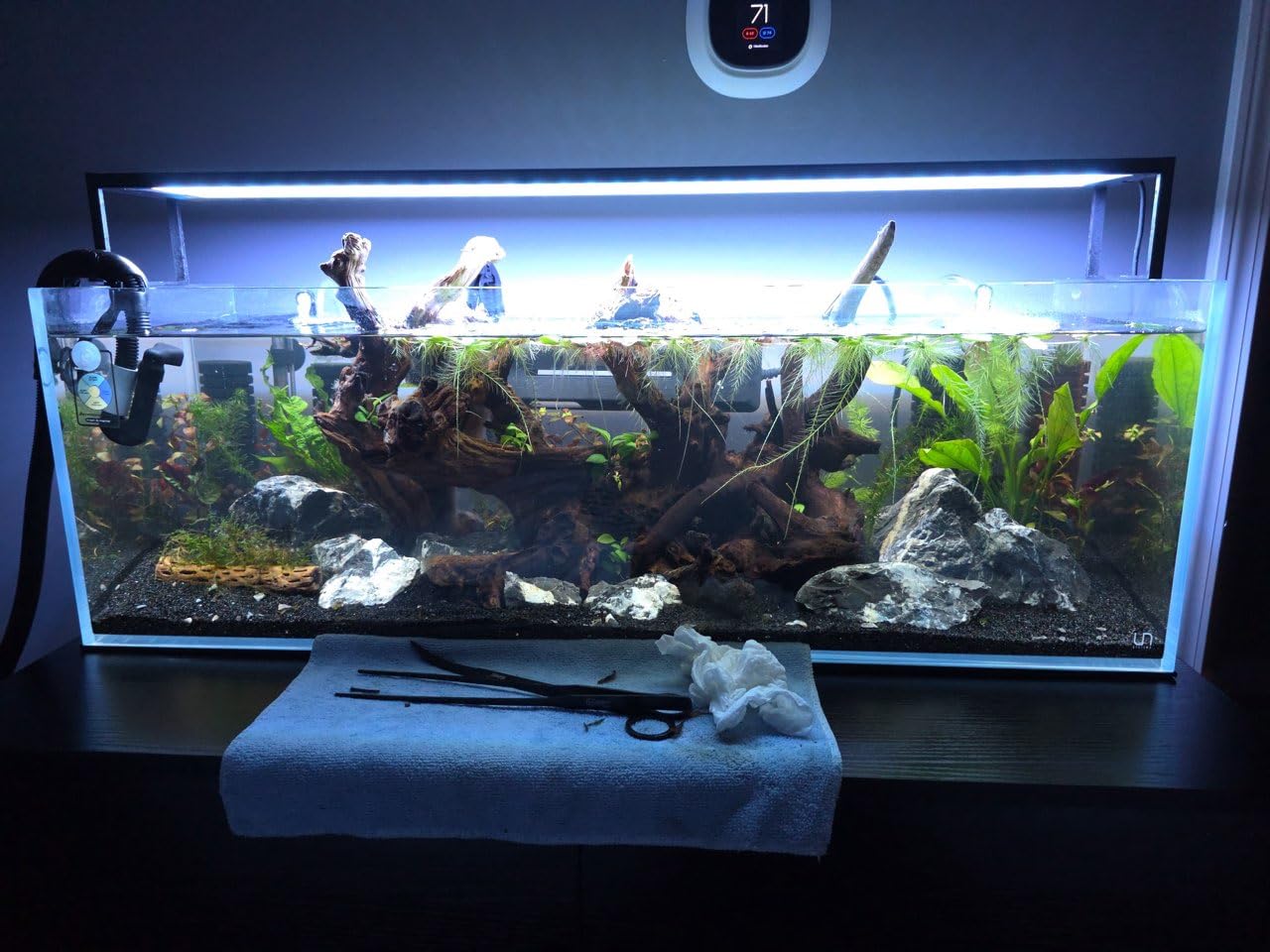 Ultum Nature Systems Ultra Clear Rimless Aquarium - Low Iron Glass Fish Tank with 45° Mitered Edges, 5mm-12mm Thick, Leveling Mat Included (25C, Cube, 4 Gallon) customer photo 1