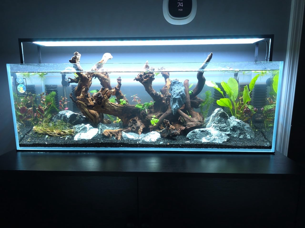 Ultum Nature Systems Ultra Clear Rimless Aquarium - Low Iron Glass Fish Tank with 45° Mitered Edges, 5mm-12mm Thick, Leveling Mat Included (25C, Cube, 4 Gallon) customer photo 2