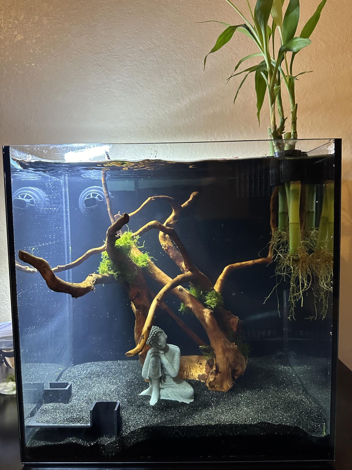 LANDEN EzFlux 40 Rimless 16 Gallon Rear Filtration Tank, Pump Included customer photo 1