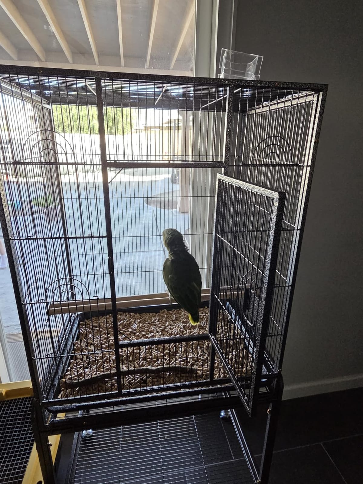 ZENY 53-Inch Parakeet Bird Cage, Wrought Iron Large Parrot Flight Birdcage customer photo 1