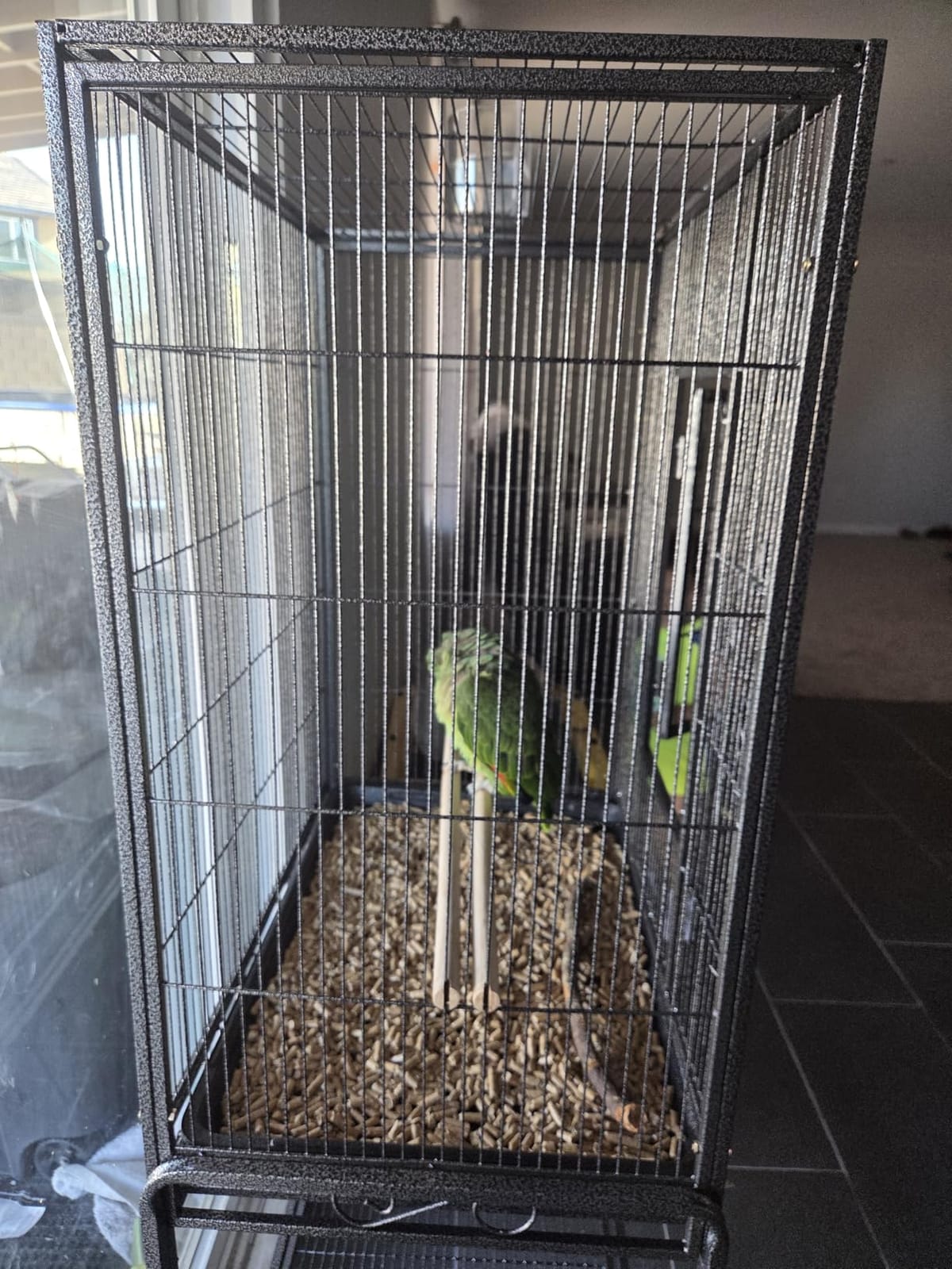 ZENY 53-Inch Parakeet Bird Cage, Wrought Iron Large Parrot Flight Birdcage customer photo 2