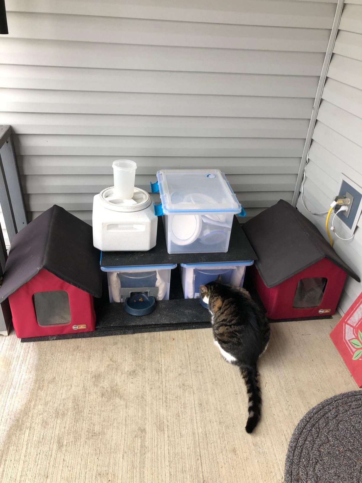 PetSafe 6 Meal Automatic Cat Feeder, Slow Feed, Tamper-Resistant Design customer photo 2