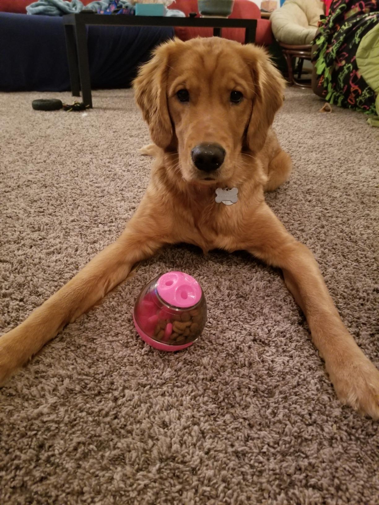 AIBOONDEE Automatic Pet Slow Feeder Treat Ball, Cat Dog Toy for Pet Increases IQ Interactive, Food Treat Dispensing Dog Toy(Rose) customer photo 2