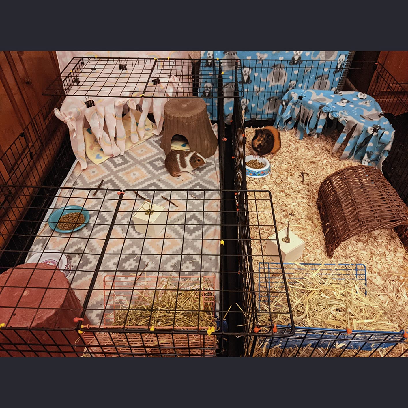 Amazon Basics Leakproof Canvas Bottom Guinea Pig Cage, Easy to Clean Small Animal Habitat with Divider Set, Indoor/Outdoor, Portable, No Tools Needed, 47.6