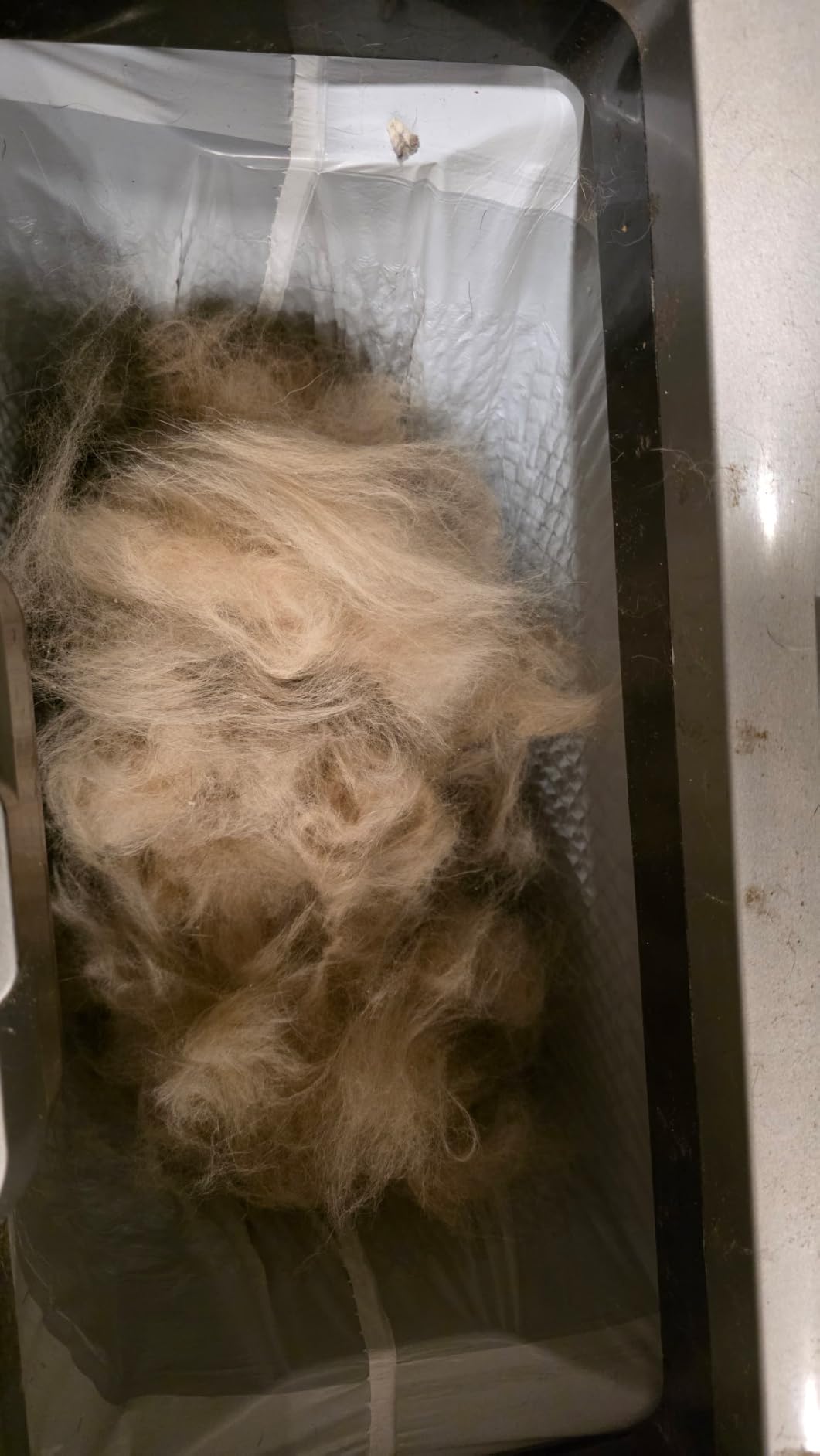 Maxpower Planet Dog Grooming Rake, Deshedding Undercoat Brush, Dogs & Cats customer photo 2