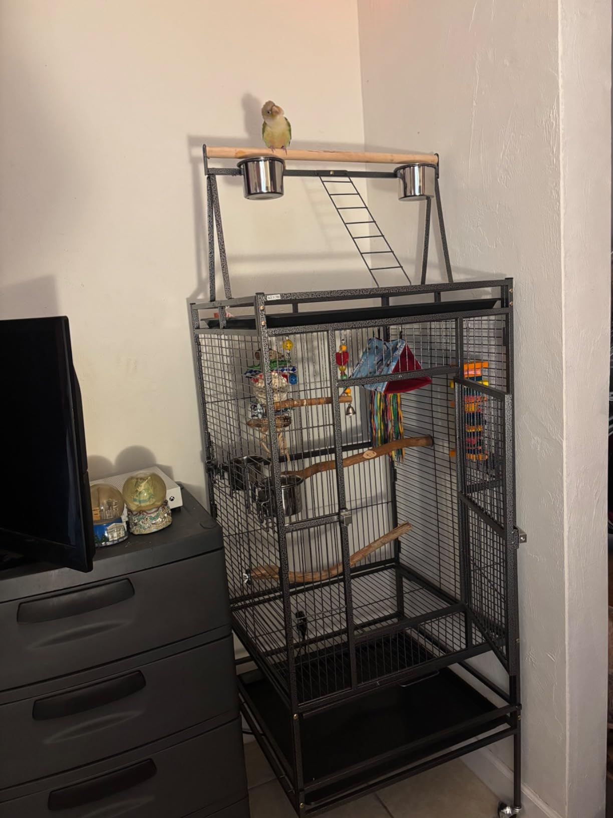 ZENY 68-Inch Birdcage, Playtop Parrot Cage, Wrought Iron Bird Cage with Rolling Stand, Heavy-Duty Pet Bird House for Parrot Cockatiel Cockatoo Parakeet Macaw Finches, Black customer photo 2