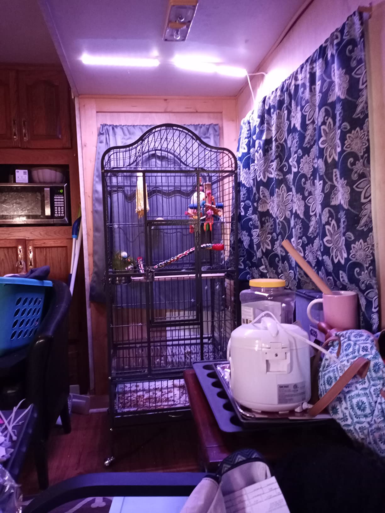 Yaheetech Extra Large Bird Cage 63'' Open Play Top Bird Cage for African Grey Parrots/Amazon Parrot/Caiques/Macaw with 360° Wheels customer photo 2