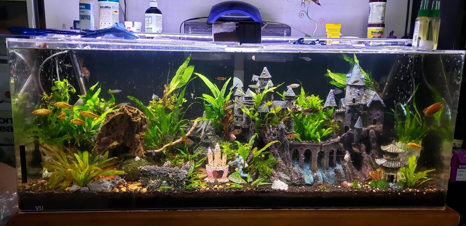 Finnex Planted Plus True 24/7 + HLC Aquarium LED Light, Automated Full Spectrum Fish Tank Light, True 660nm Deep Red Plant LEDs, 30 Inch, (HLC-30) customer photo 1