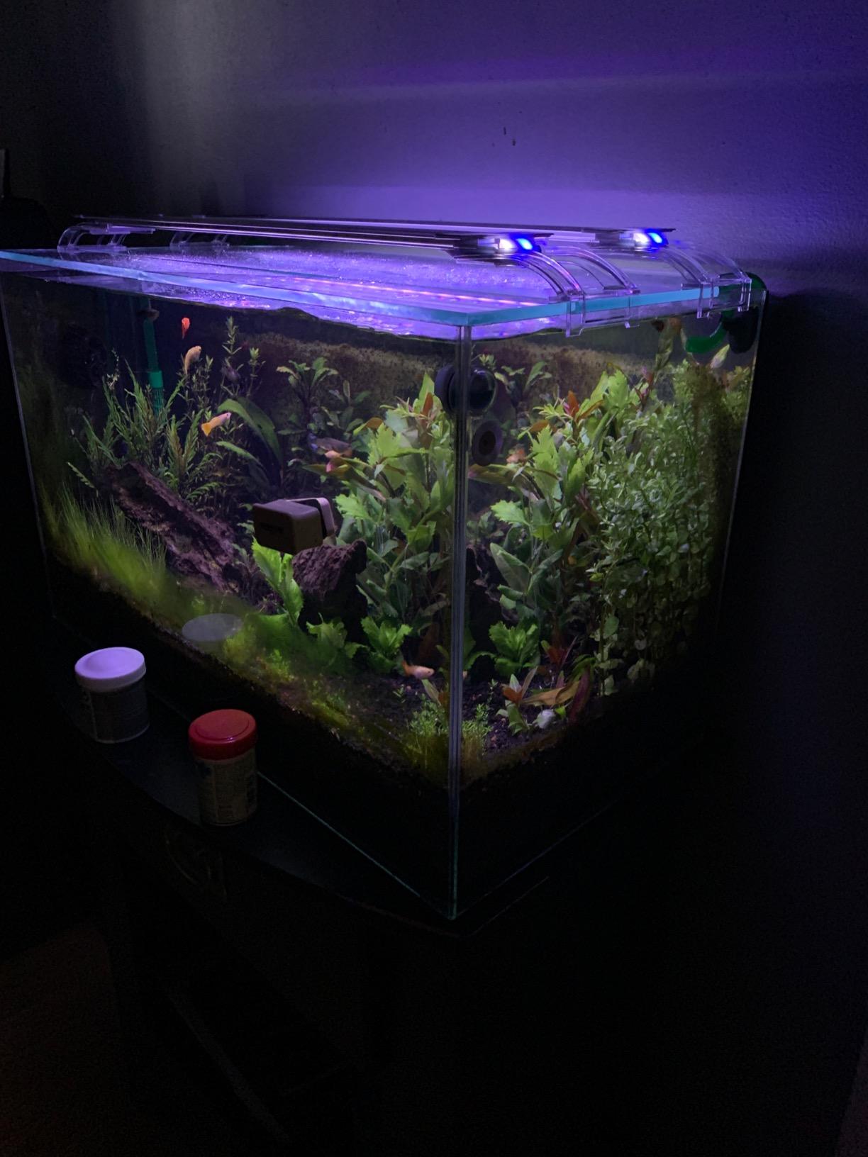 Finnex Planted Plus True 24/7 + HLC Aquarium LED Light, Automated Full Spectrum Fish Tank Light, True 660nm Deep Red Plant LEDs, 30 Inch, (HLC-30) customer photo 2