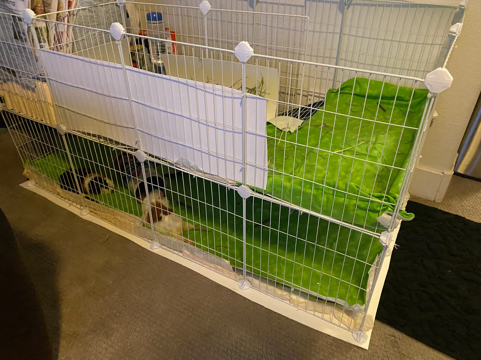 SONGMICS 36 Panels Pet Playpen, Two-Story Small Animal Playpen customer photo 2
