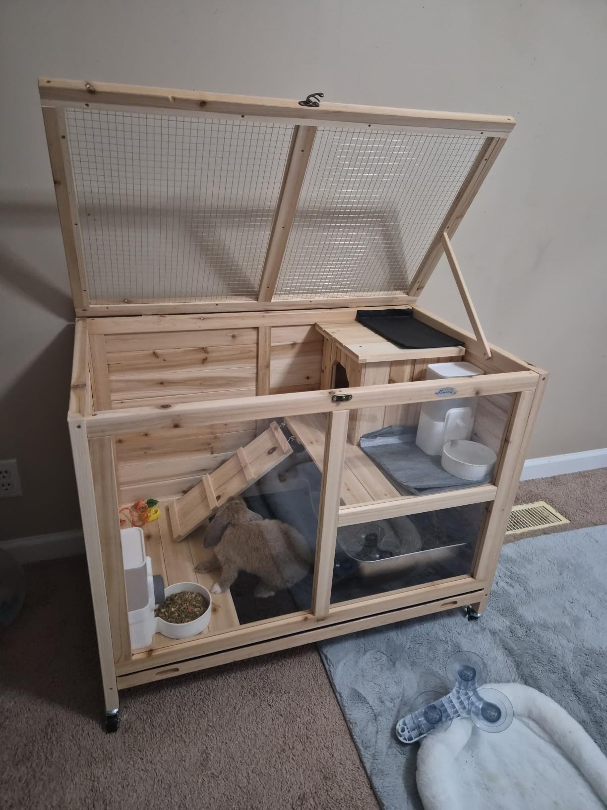 PawHut Rabbit Hutch with Wheels, Desk and Side Table Sized, Wooden Rabbit Cage, Waterproof Small Bunny Cage with Removable Tray, Openable Roof, for Indoor & Outdoor, Natural customer photo 2