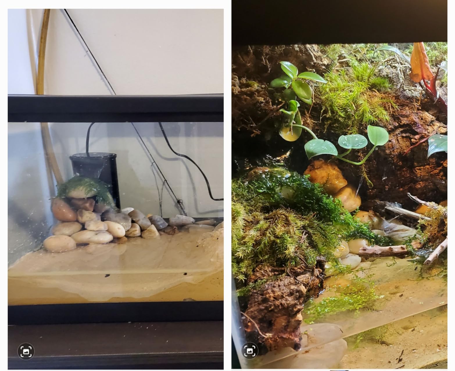 PULACO Aquarium Internal Filter 3 to 20 Gallons, for Turtle Tanks, Reptiles, Amphibians, Frog, Cichlids, Newt or Fish Tank customer photo 1