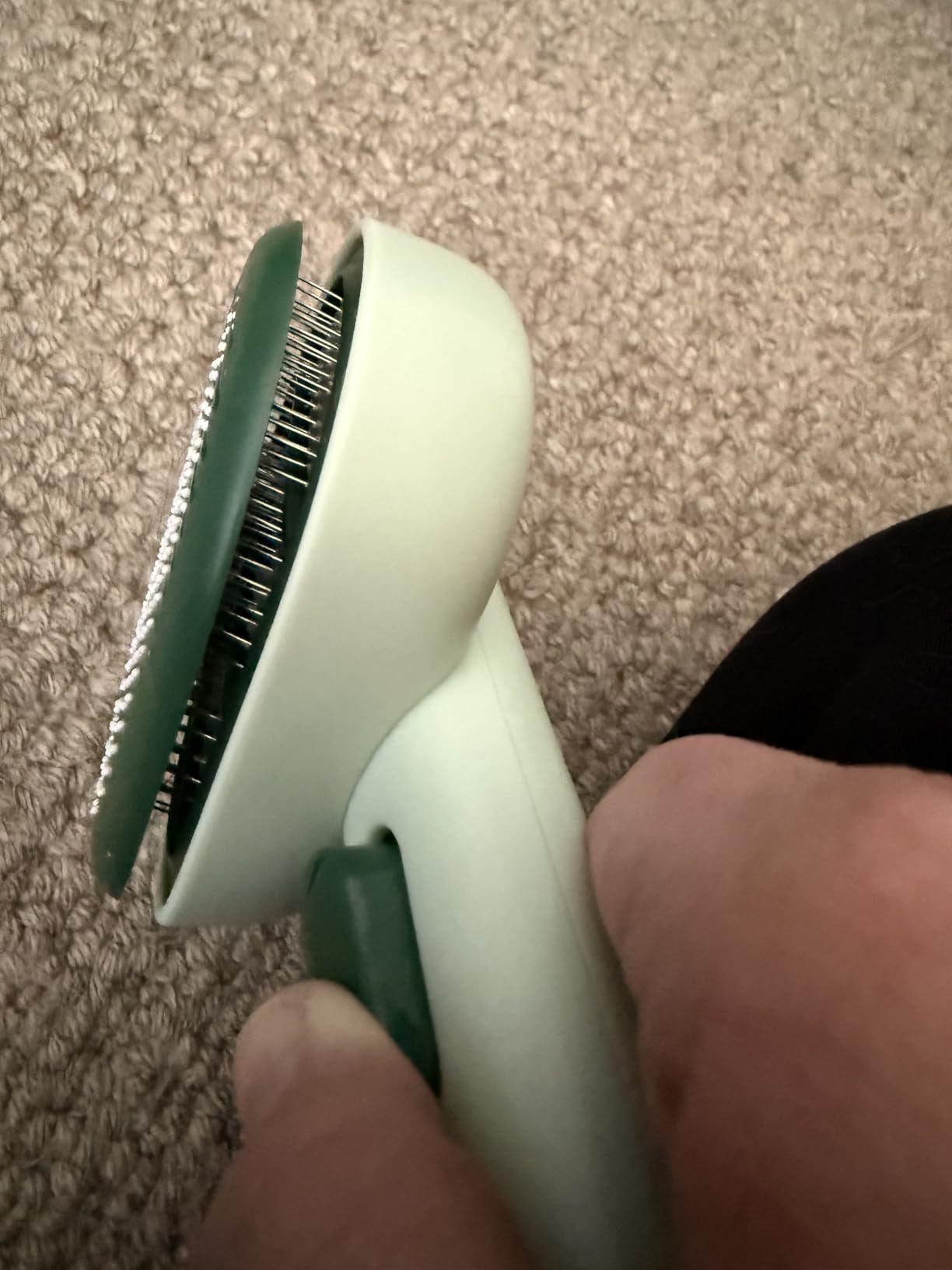 Aumuca Cat Brush for Shedding, Cat Brushes for Indoor Cats, Cat Brush for Long or Short Haired Cats, Cat Grooming Brush Cat Comb for Kitten Rabbit Massage Removes Loose Fur customer photo 1