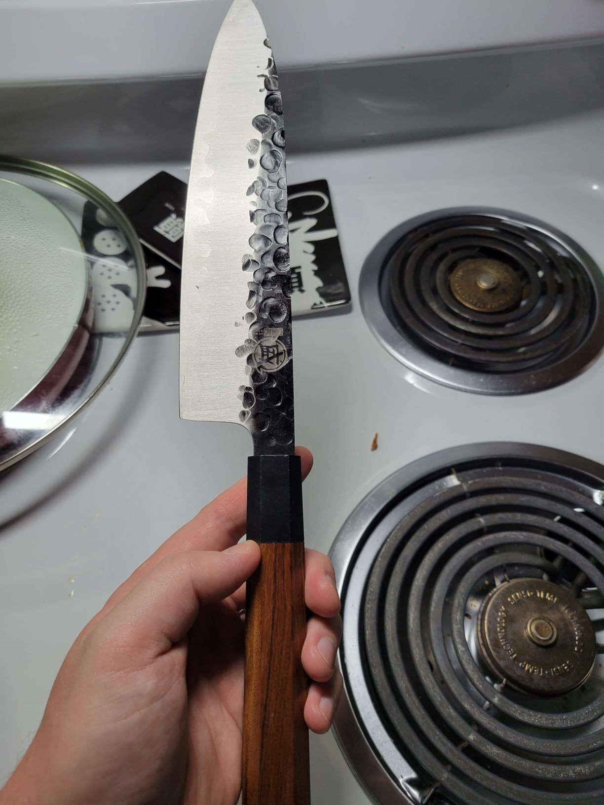 MITSUMOTO SAKARI 8-Inch Japanese Gyuto Chef Knife, 3-Layer 9Cr18MoV customer photo 1