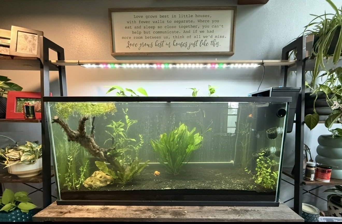 AQUANEAT LED Aquarium Light for 18 to 24 Inch Fish Tank, Auto On Off with Timer, Full Spectrum, Adjustable Brightness, Daylight Moonlight Mode, for Fresh Water Low-to-Mid Light Plants customer photo 2