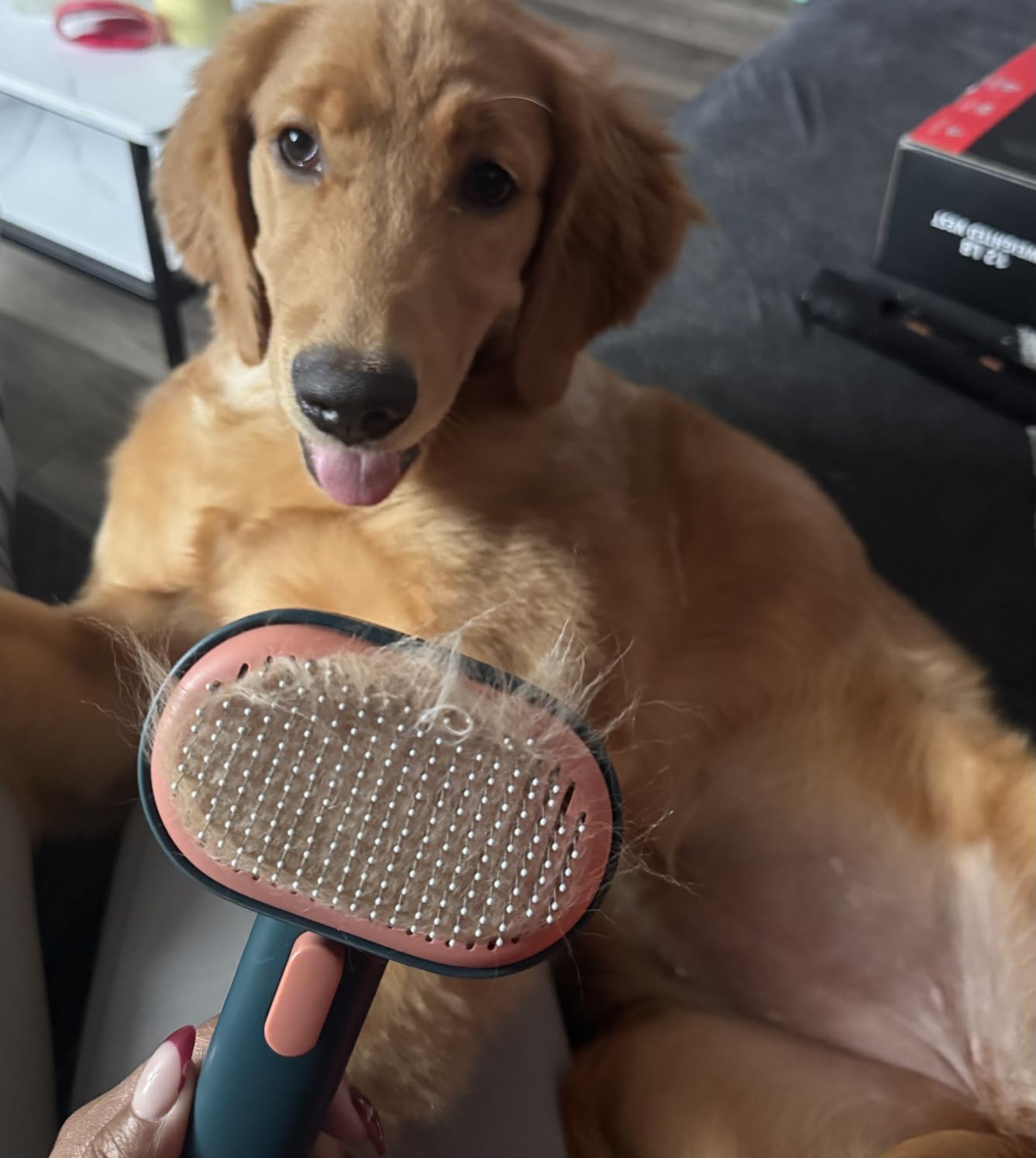 Aumuca Skin Friendly Self-Cleaning Slicker Brush for Dogs & Cats, Gentle Pet Grooming Tool for Shedding & Deshedding, Efficient Hair Remover for Long & Short Haired Pets customer photo 1