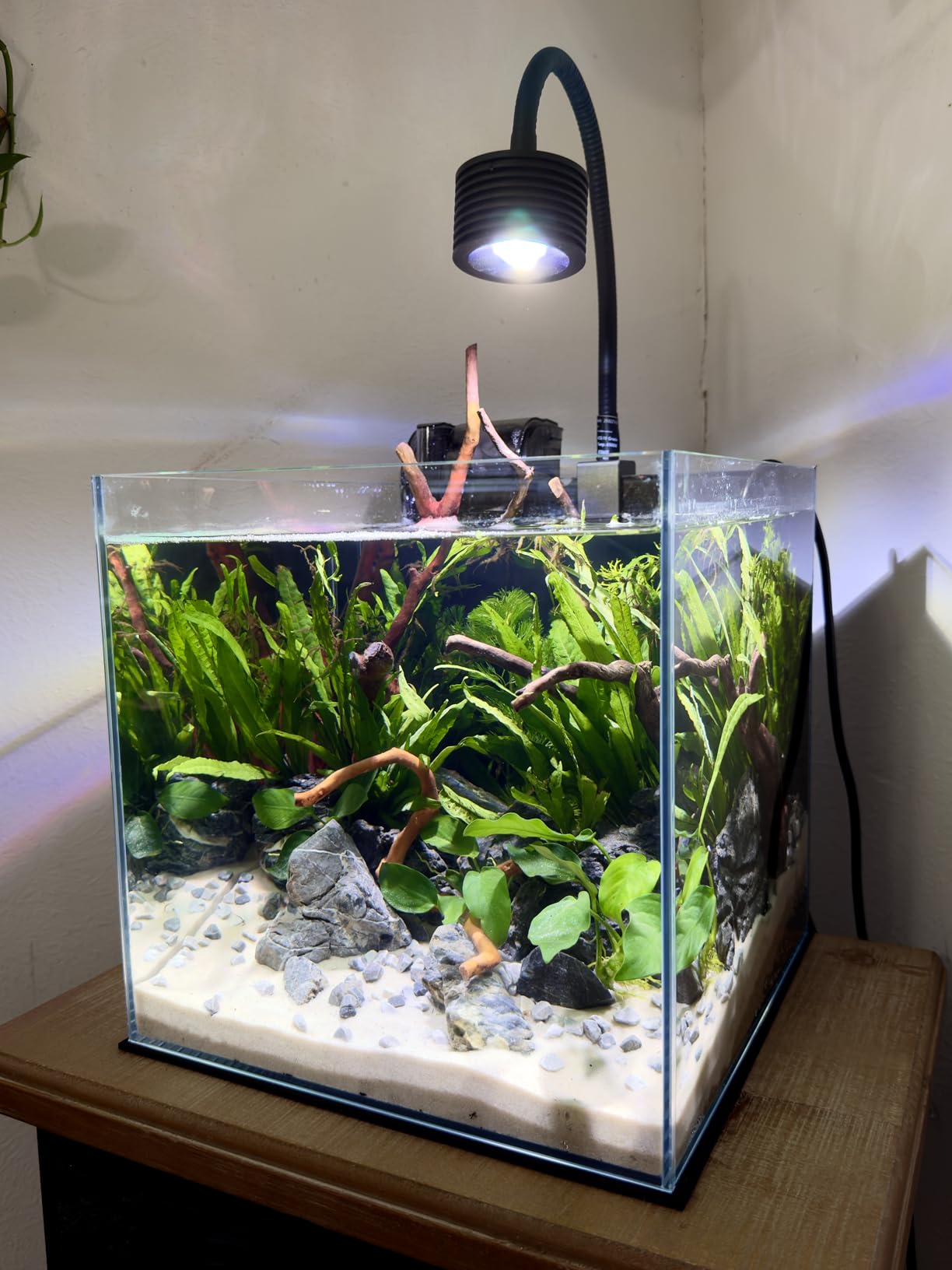 7Gal Ultra Clear Rimless Low Iron Glass Cubic Aquarium Tank (W11.81×D11.81×H11.81 inch(30x30x30cm)) 5mm Thickness Include Black Leveling Mat customer photo 1