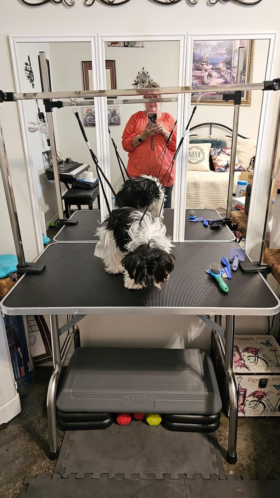 Lyromix 36'' Foldable Dog Grooming Table with Arms/Nooses/Mesh Tray, Black customer photo 1