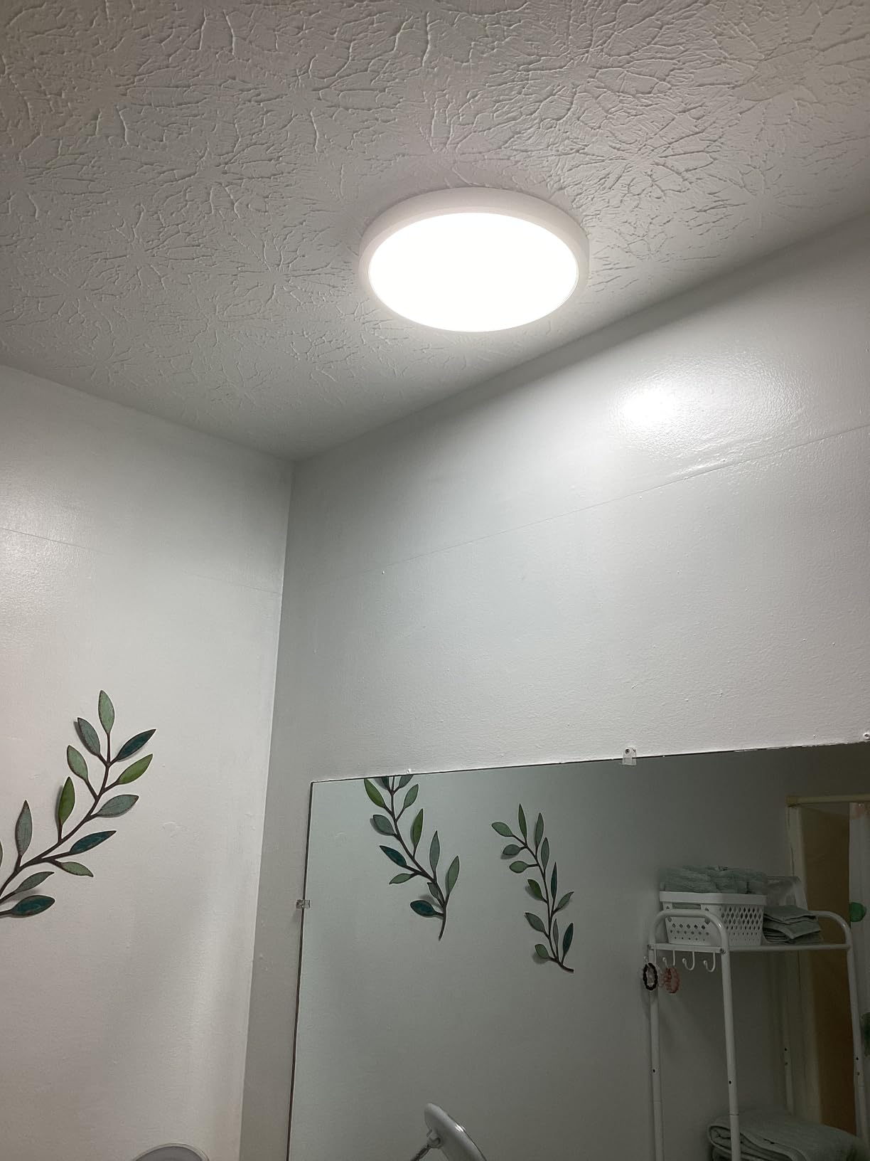 Allsmartlife LED Flush Mount Ceiling Light Fixture, 12inch 24W 2880lm CCT 3000K/4000K/6500K Thin Round Flat Panel Light Surface Mount for Kitchen, Bedroom, Laundry. Dimmable Ceiling Lamp customer photo 2