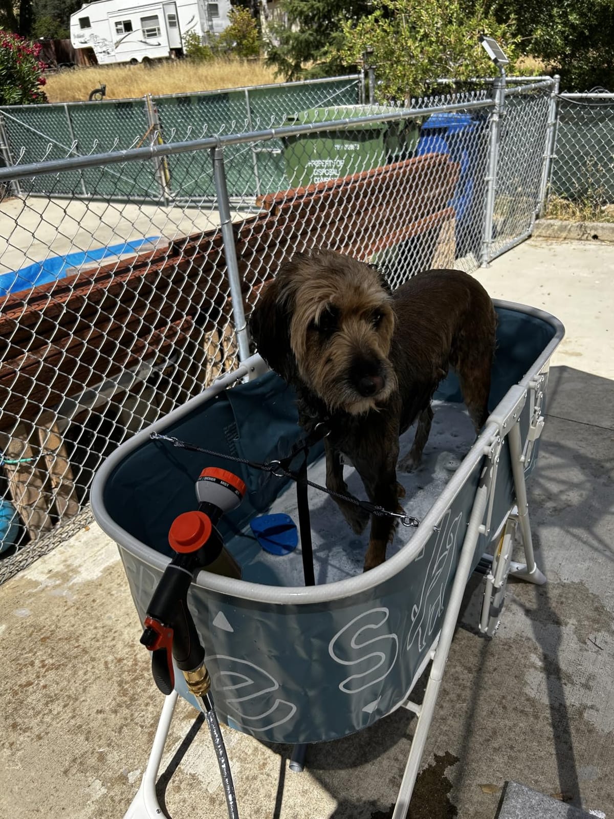 Furesh Foldable Dog Washing Station for Large Dogs with Stairs customer photo 1