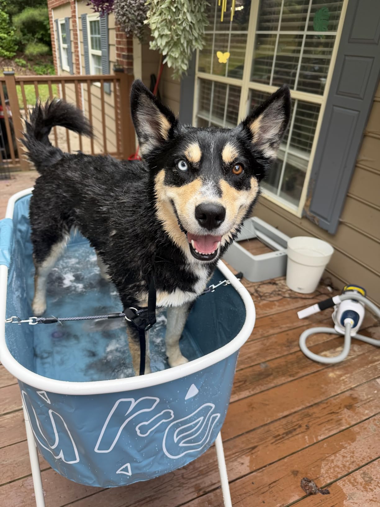 Furesh Foldable Dog Washing Station for Large Dogs with Stairs customer photo 2