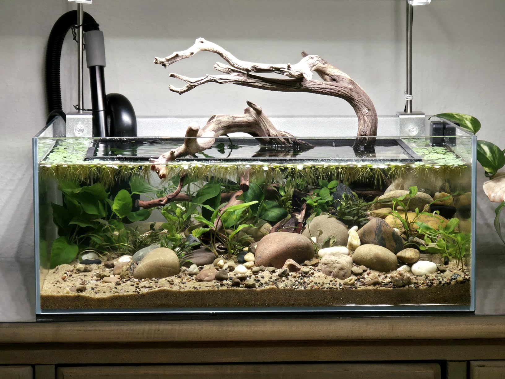 FZONE 6.4Gal Shallow Rimless Aquarium, Ultra-White Glass (L45-W30) customer photo 2