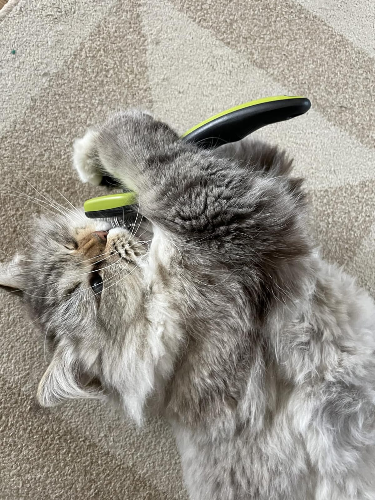 Pecute Skin Friendly Self-Cleaning Slicker Brush for Dog & Cat Shedding customer photo 1