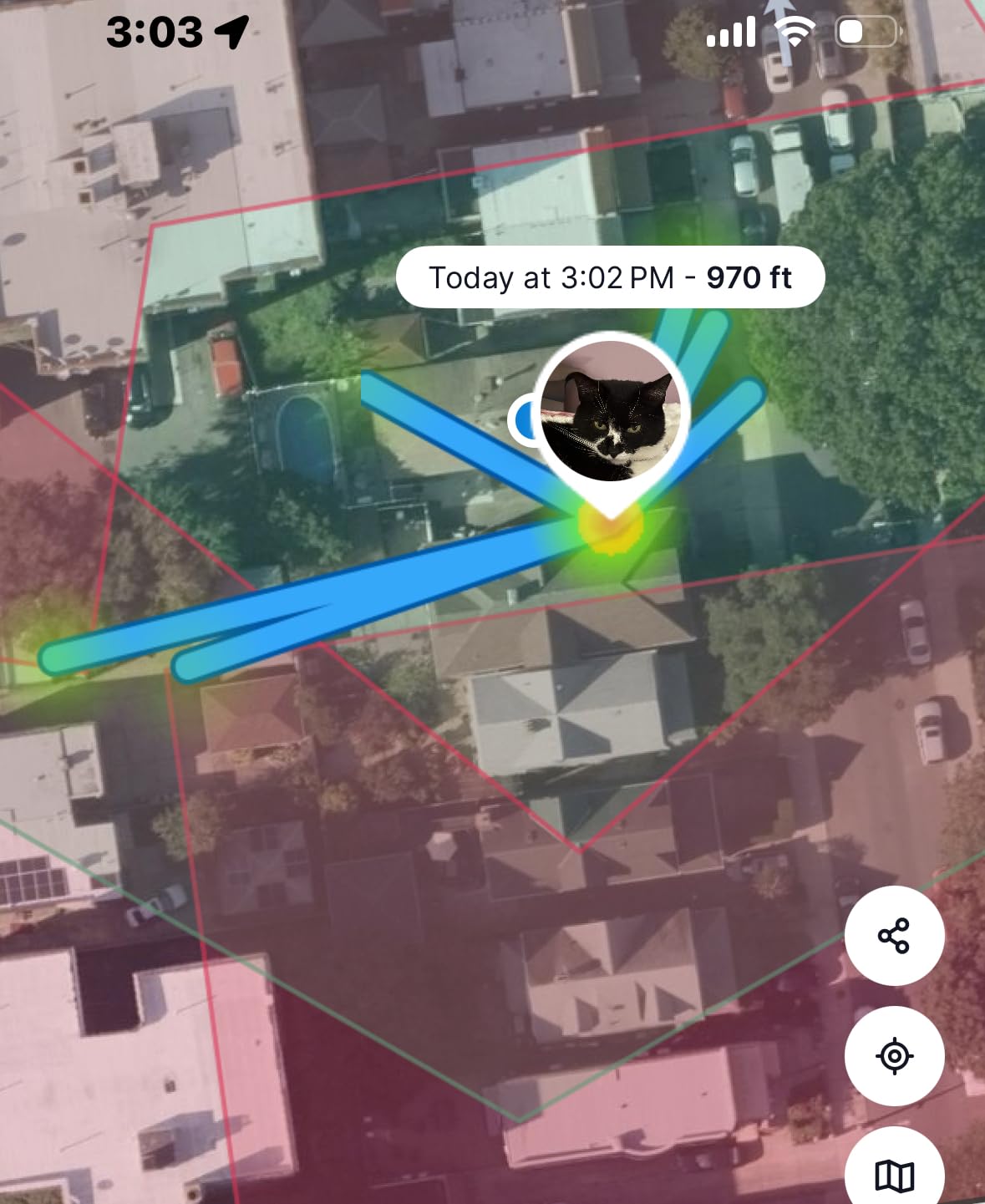 Tractive Smart Cat GPS Tracker | Real-Time Location & Wellness Monitoring for Cats 6.5 lbs+ | Territory & Location History | Up to 5-Day Battery | Breakaway Collar Included (Dark Blue) customer photo 2