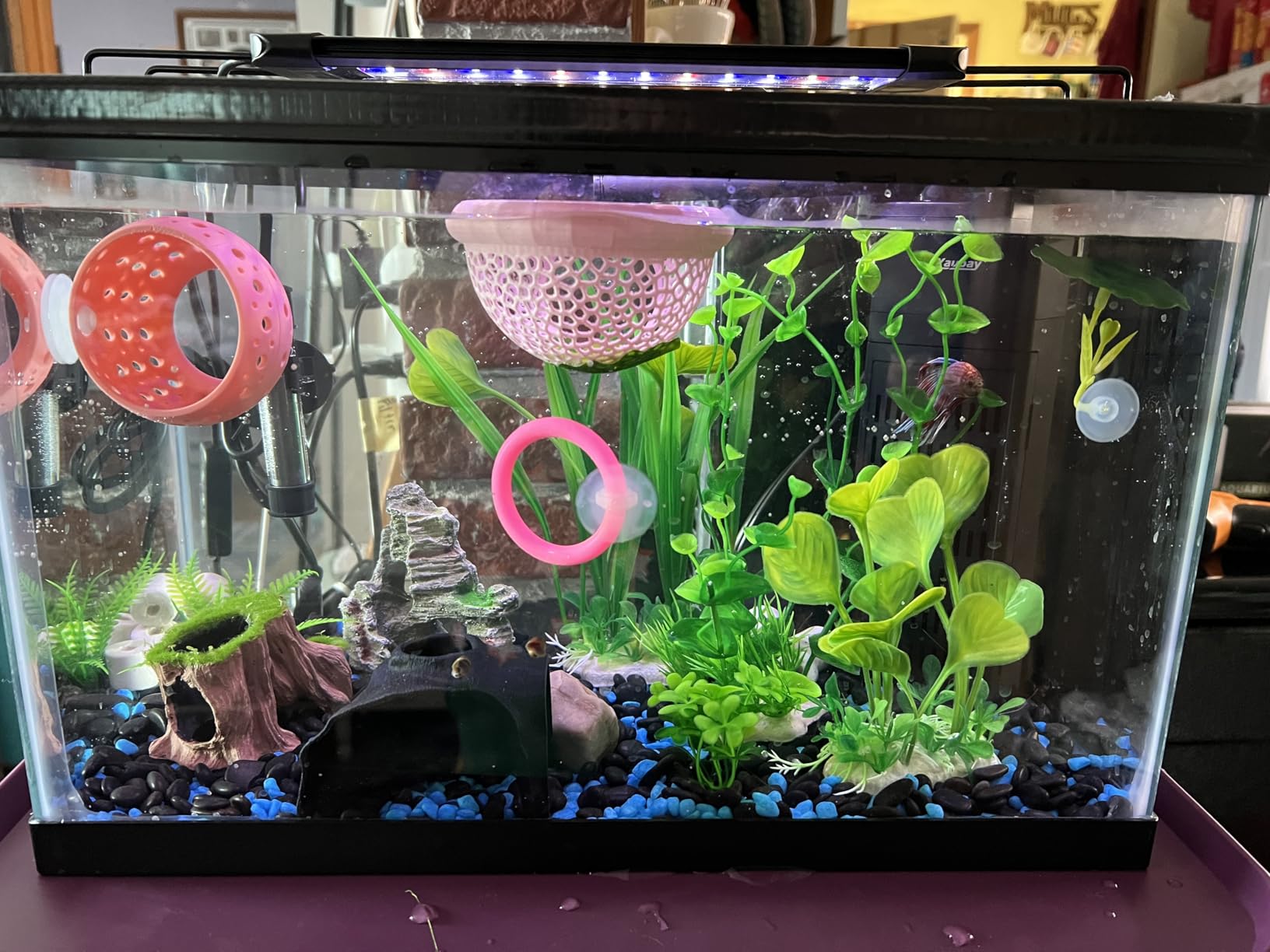 Pawfly 14W Aquarium LED Light for 18 to 24 Inch Fish Tanks Extendable Fish Tank Light with Full Spectrum Brilliant White Blue Red Lights with Daytime & Night Modes and Adjustable Brightness customer photo 2