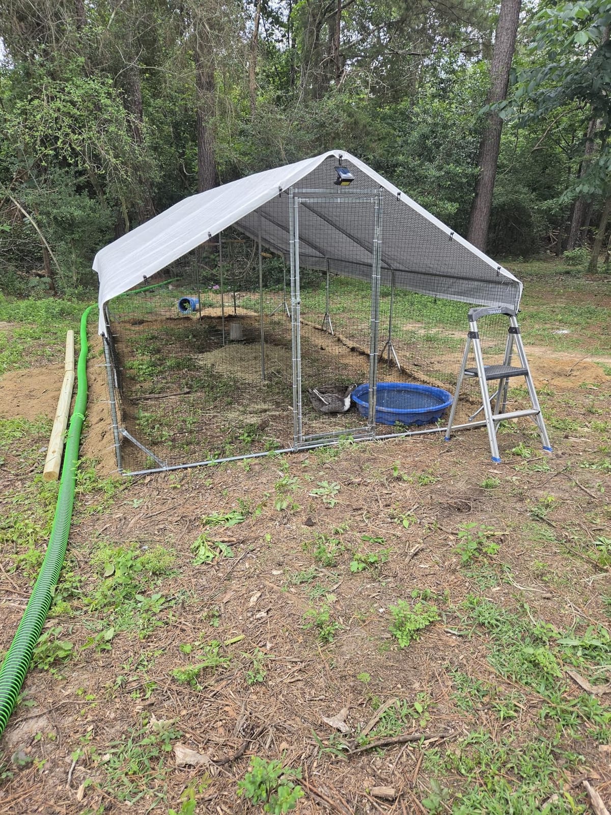CHIKENCOOP 19.5x9.8x6.5ft Metal Chicken Coop, 3-Room Run, Hardware Cloth customer photo 2