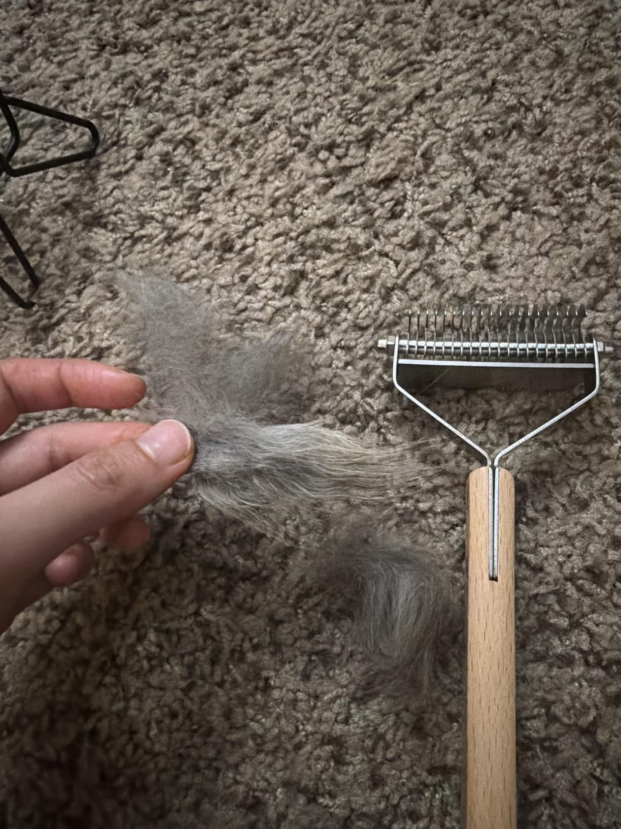 FelineFun Cat Brush for Dematting & Deshedding, 2 in 1 Undercoat Rake, Efficiently Remove Loose Hair & Matted Fur, Professional Shedding Comb for Indoor Cats & Long Haired Cats customer photo 1