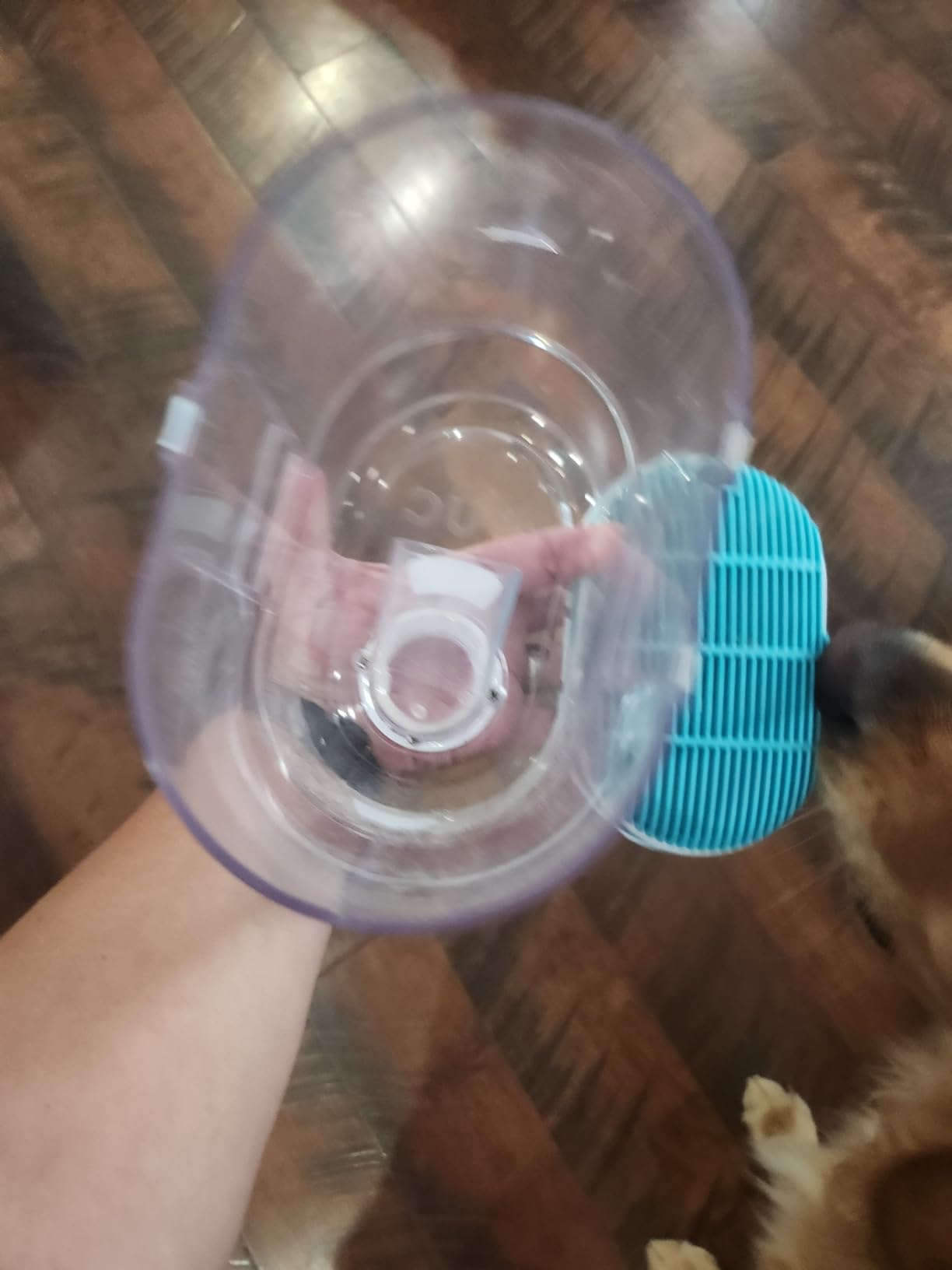 Uproot Clean Pet Grooming Vacuum for Dogs & Cats: 7-in-1, Quiet & Mess-Free customer photo 2